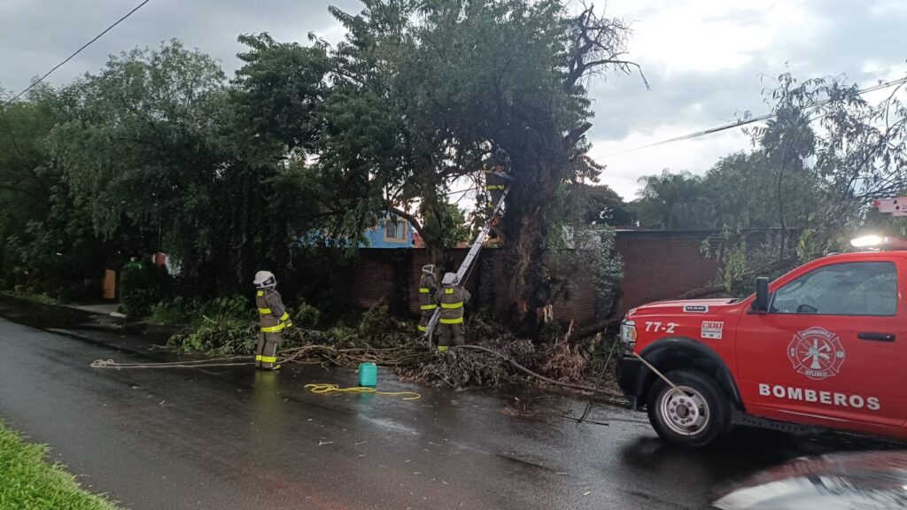 En Atlixco piden evitar incendios forestales