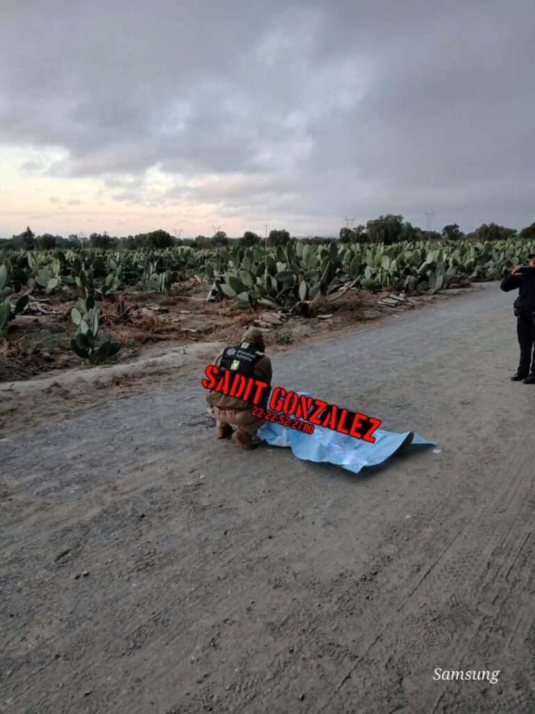 Tiran cadáver con lesiones de bala en Felipe Ángeles