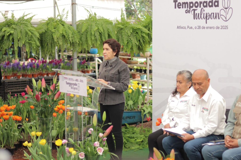 Video,: ¡Ven a Atlixco por tus tulipanes y a planear la boda!