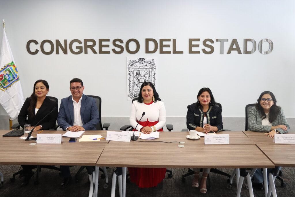 Avala Comisión del Congreso convocatoria para Consejo Consultivo de la CDH Puebla