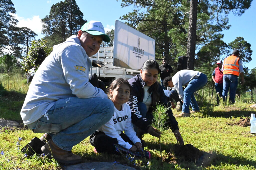 Granjas Carroll impulsa la conservación y reforestación en el Valle de Perote