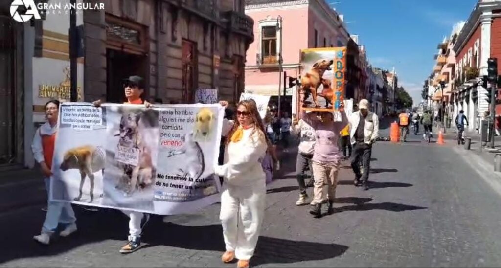 Video: Marchan a favor de los derechos animales