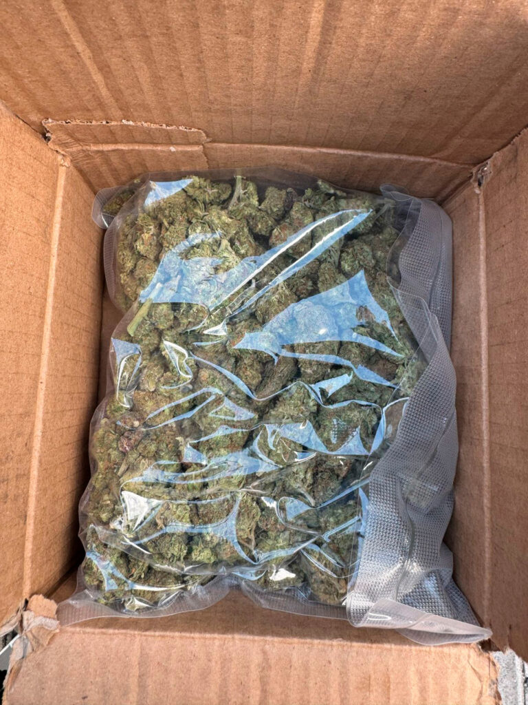 Sigue la detección de droga en negocios de paquetería