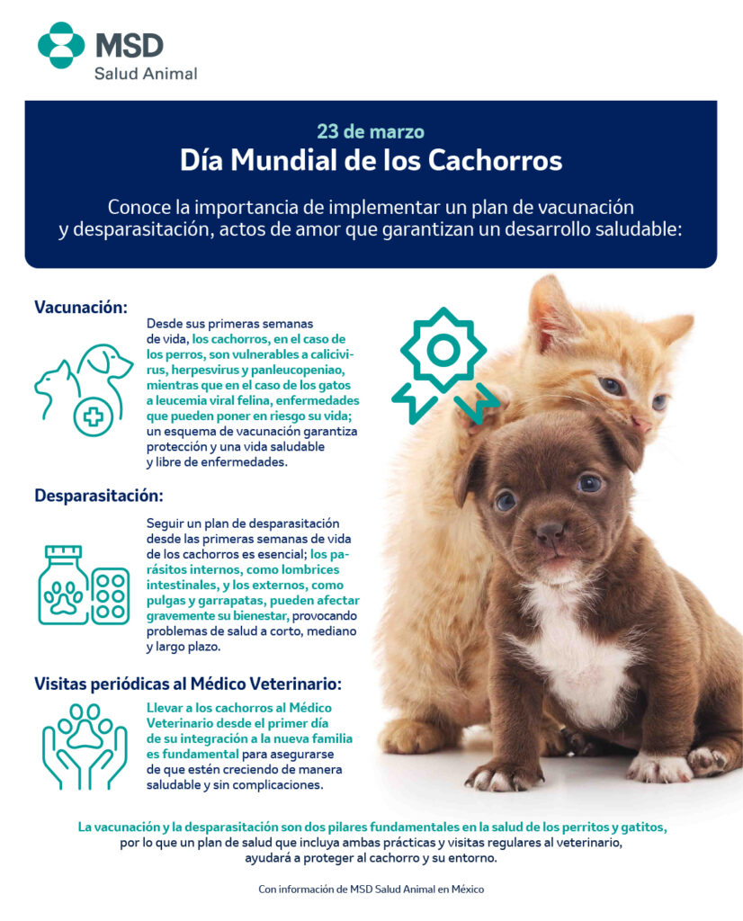 ¿A qué edad debo vacunar y desparasitar  a mi cachorro por primera vez?