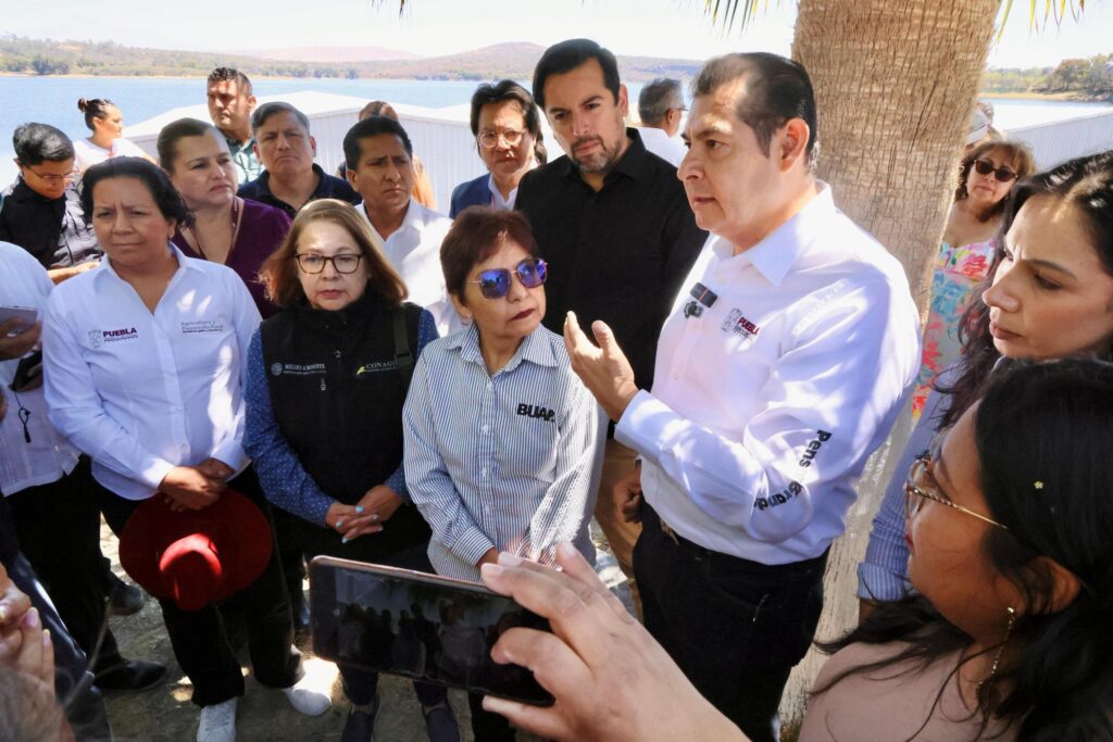 Fertipue: proyecto innovador que transformará el lirio del Lago de Valsequillo