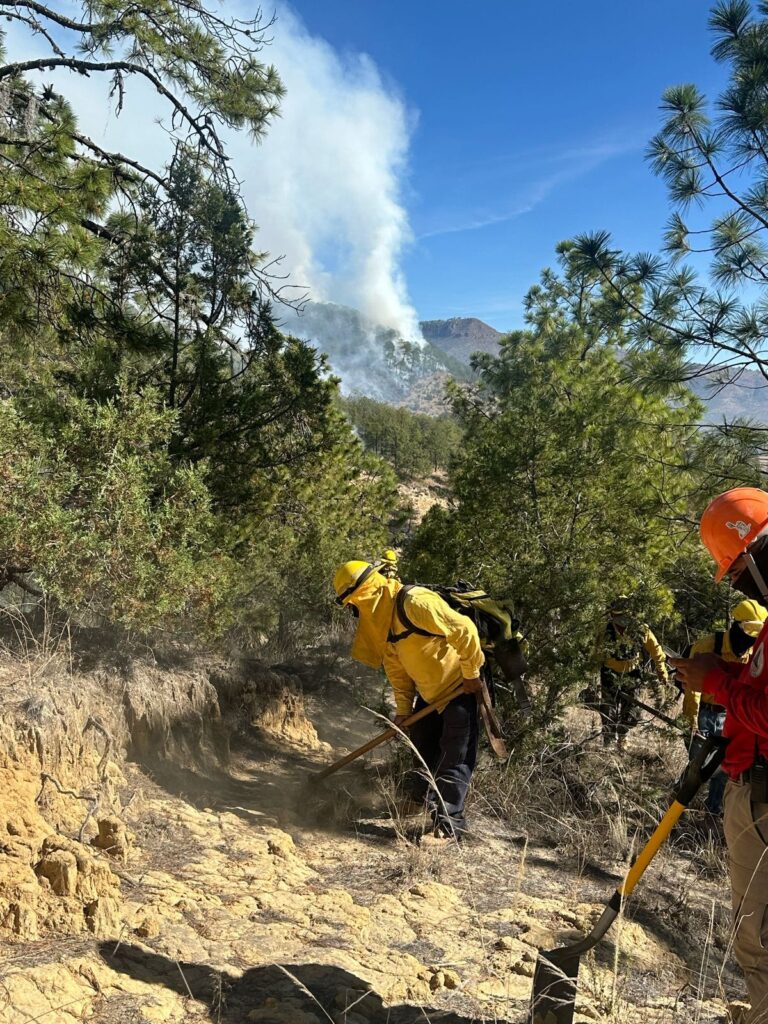 Puebla acumula casi 200 incendios forestales en el año