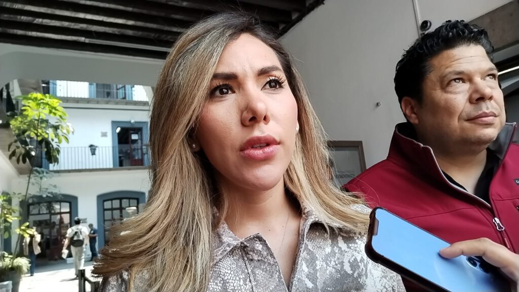 Unidad habitacional La Margarita, con más casos de violencia familiar: Zaira González