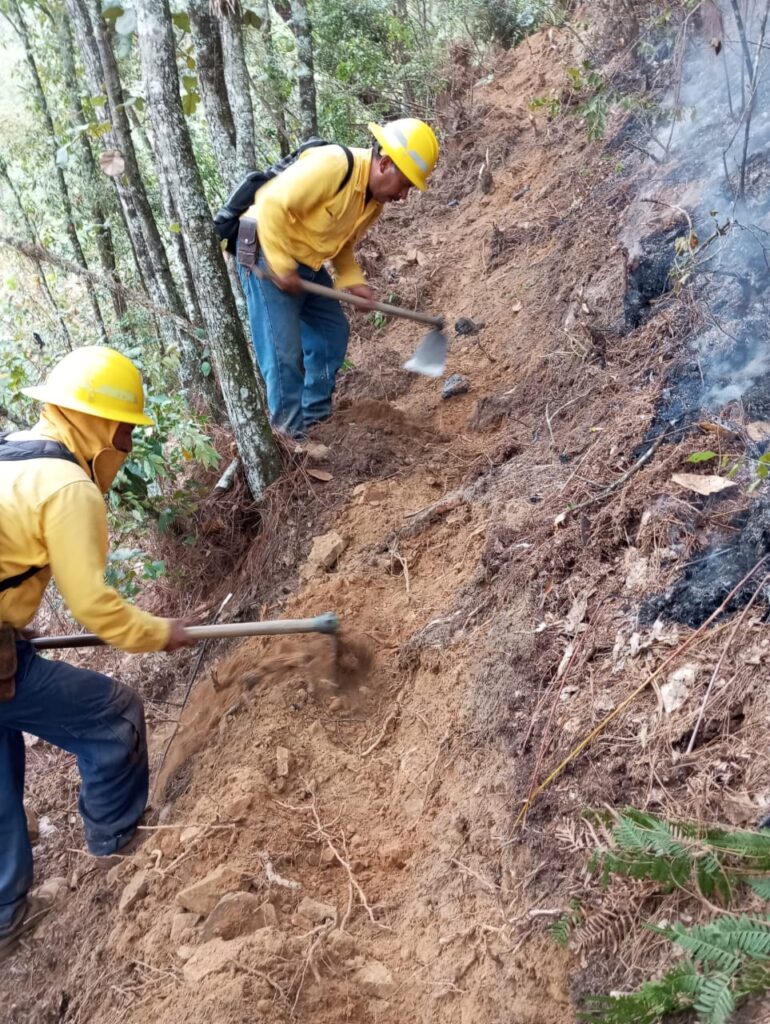 Puebla acumula 301 incendios forestales de diciembre a la fecha