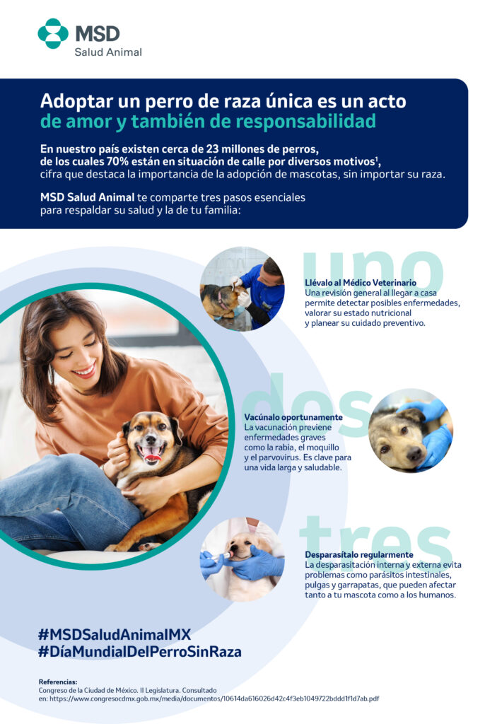 5 razones para adoptar un perro de raza única