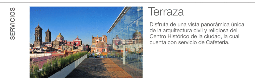 Agenda del 1º al 15 de junio de 2025: Museo Amparo