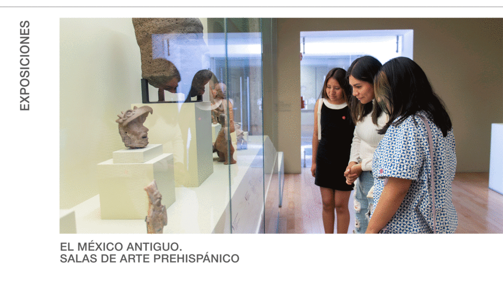 Agenda del 1º al 15 de julio de 2025: Museo Amparo