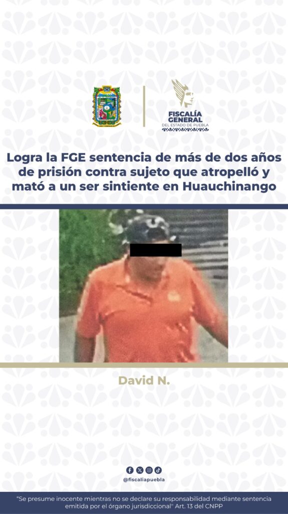 Dos años de cárcel a sujeto que atropelló y mató a canino en Huauchinango