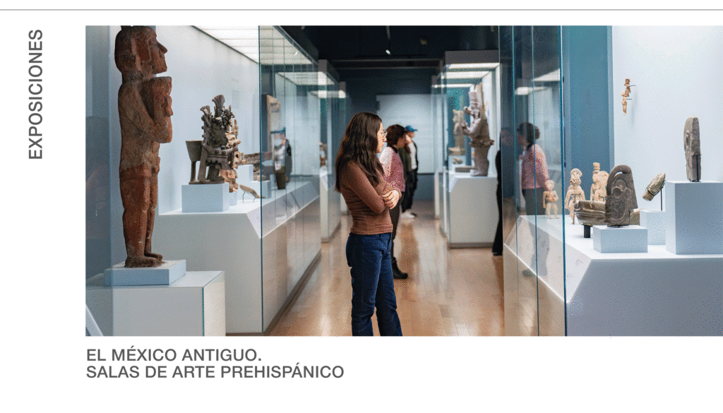 Agenda del 1º al 15 de agosto de 2025: Museo Amparo