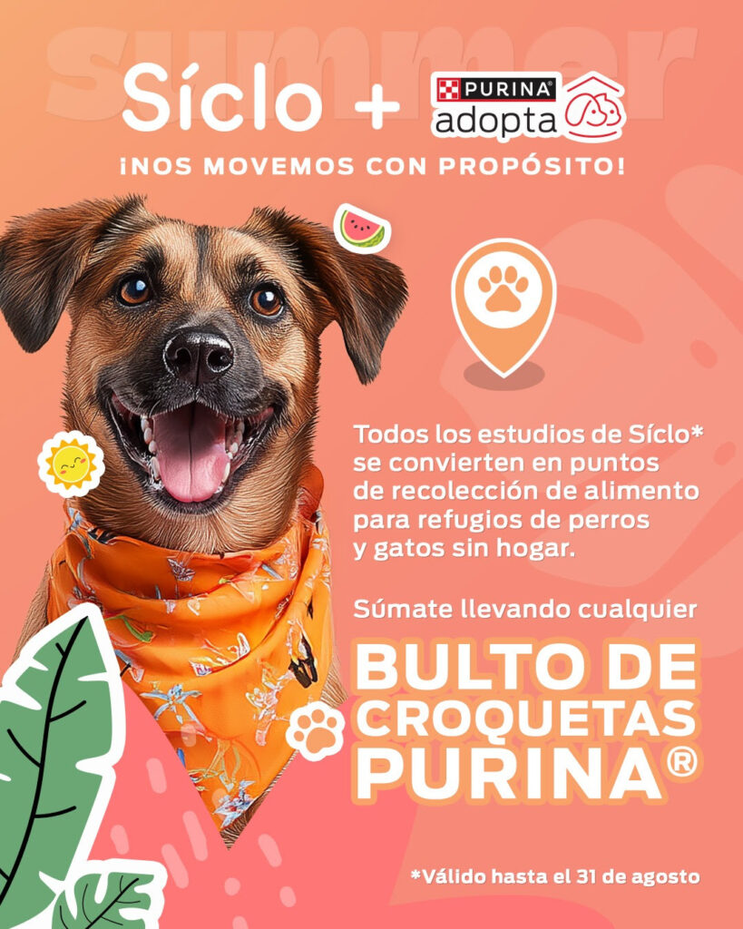 Summer Pet, en pro de la adopción responsable