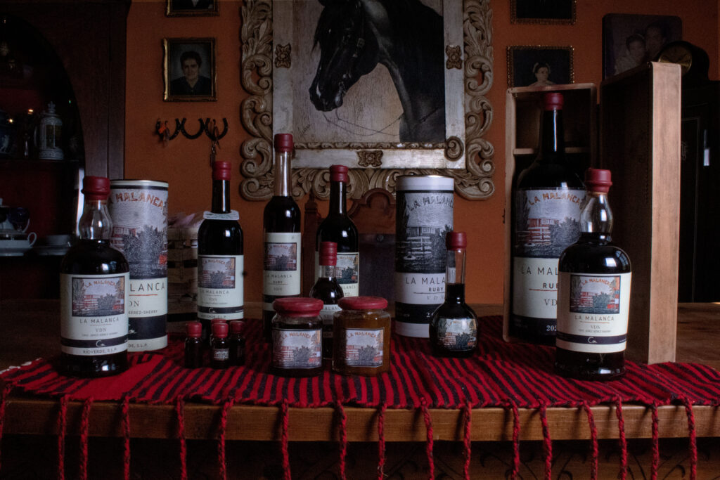 San Luis Potosí, el destino perfecto para enamorarse