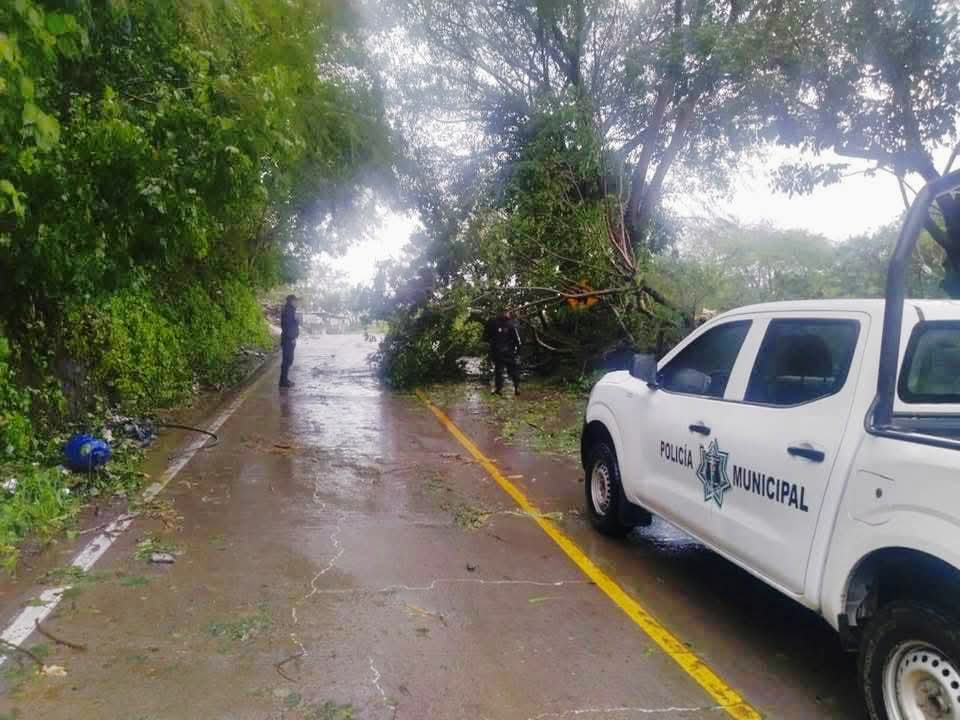 Lluvias provocan deslaves y afectaciones en San Pedro Limón