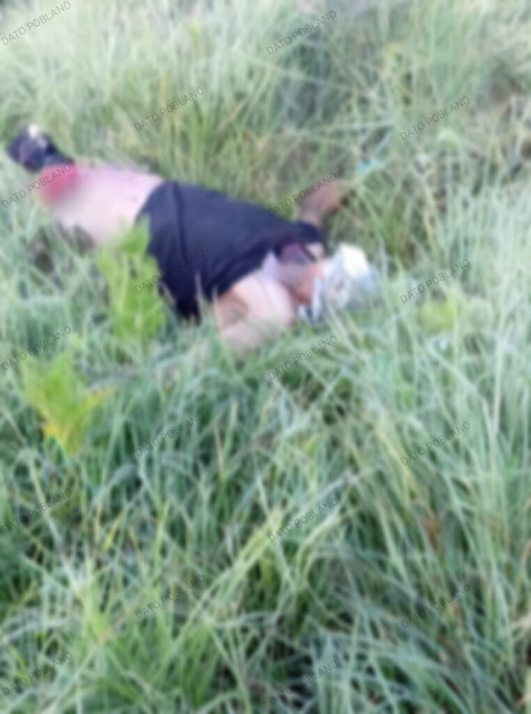 Video: ¡Imparable inseguridad en Puebla capital; tiran cadáver con huellas de tortura en la colonia Bosques de Manzanilla!