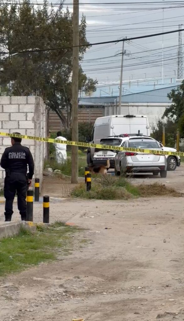 Video: Inicia el viernes con cadáver baleado en la colonia Viveros del Valle