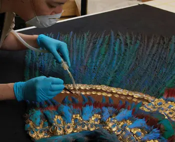 Penacho de Moctezuma | Muestran contenedor para su traslado; ¿es posible?