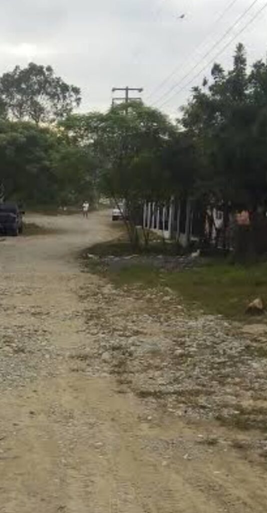 Murió mujer por descarga eléctrica en Francisco Z Mena