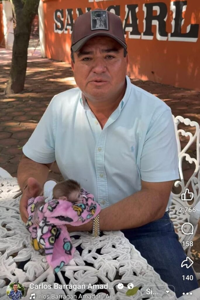 Olimpia Coral Melo acusa al presidente de Xicotepec de explotación animal