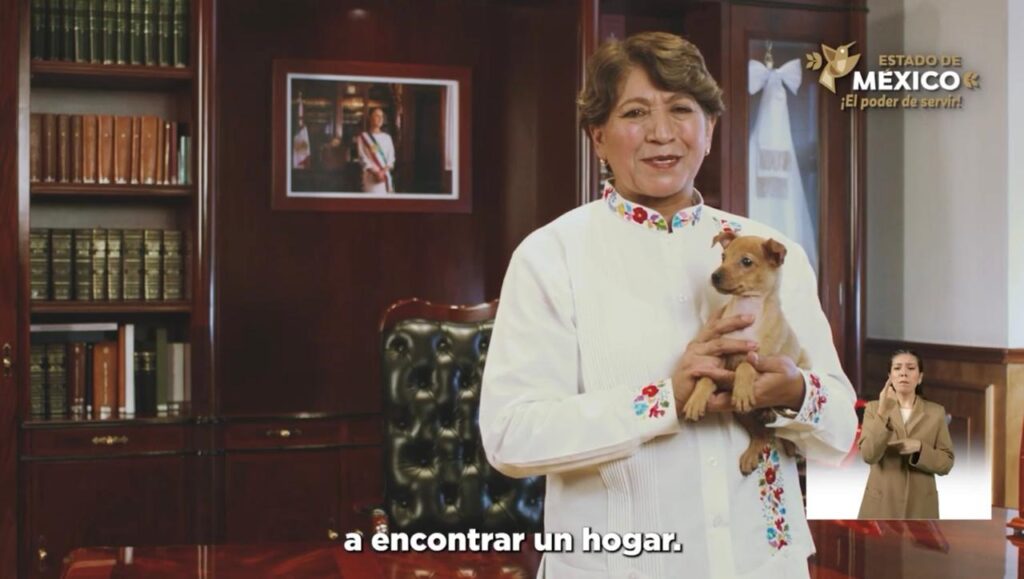 Delfina Gómez destaca avances en medio ambiente, bienestar animal y educación