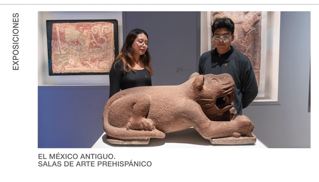 Agenda del 16 al 30 de septiembre de 2025: Museo Amparo