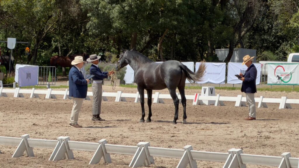 Val’quirico: Sede del campeonato ANCCEMEX