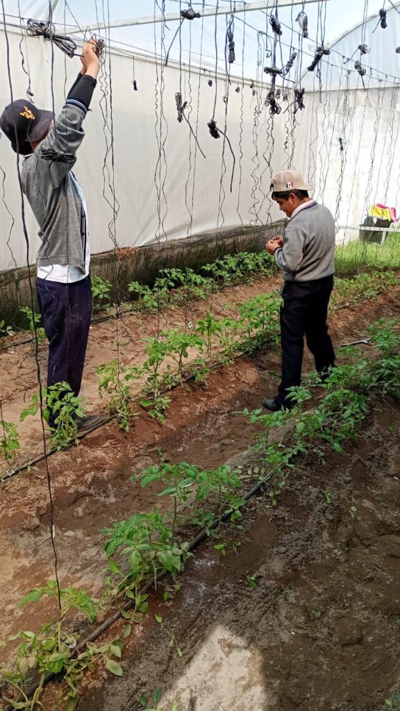 Con huertos escolares Altosano Granjas Carroll impulsa a estudiantes, el conocimiento y la sostenibilidad