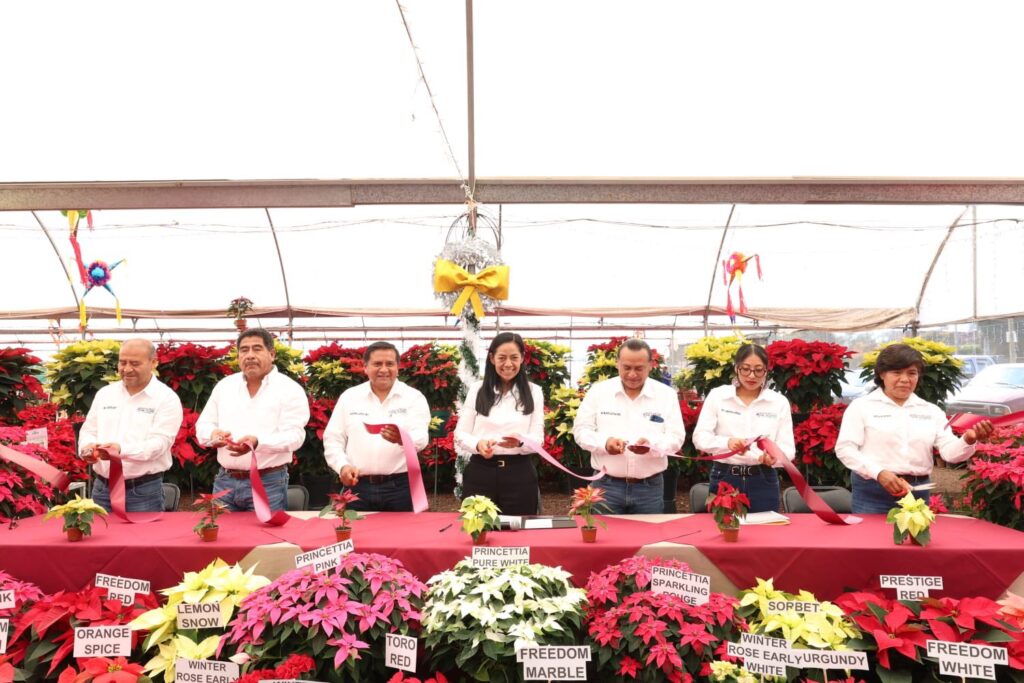 ¡Ya inició la feria de la nochebuena Atlixco 2025!: Ariadna Ayala