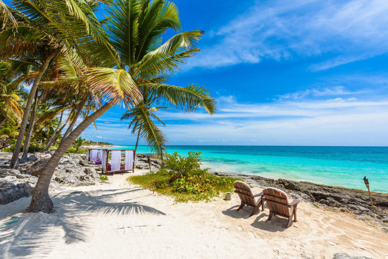 EEUU cancelará vuelos a partir de este viernes 7 de noviembre por cierre de gobierno y así es como afectará a México