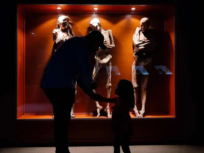 ¿Las Momias de Guanajuato van a desaparecer? Informe del INAH revela amenaza