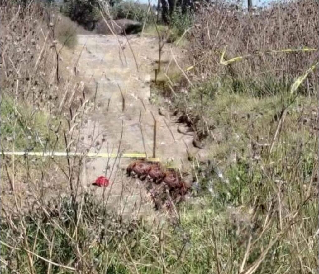 Tiraron cadáver en San José Chiapa