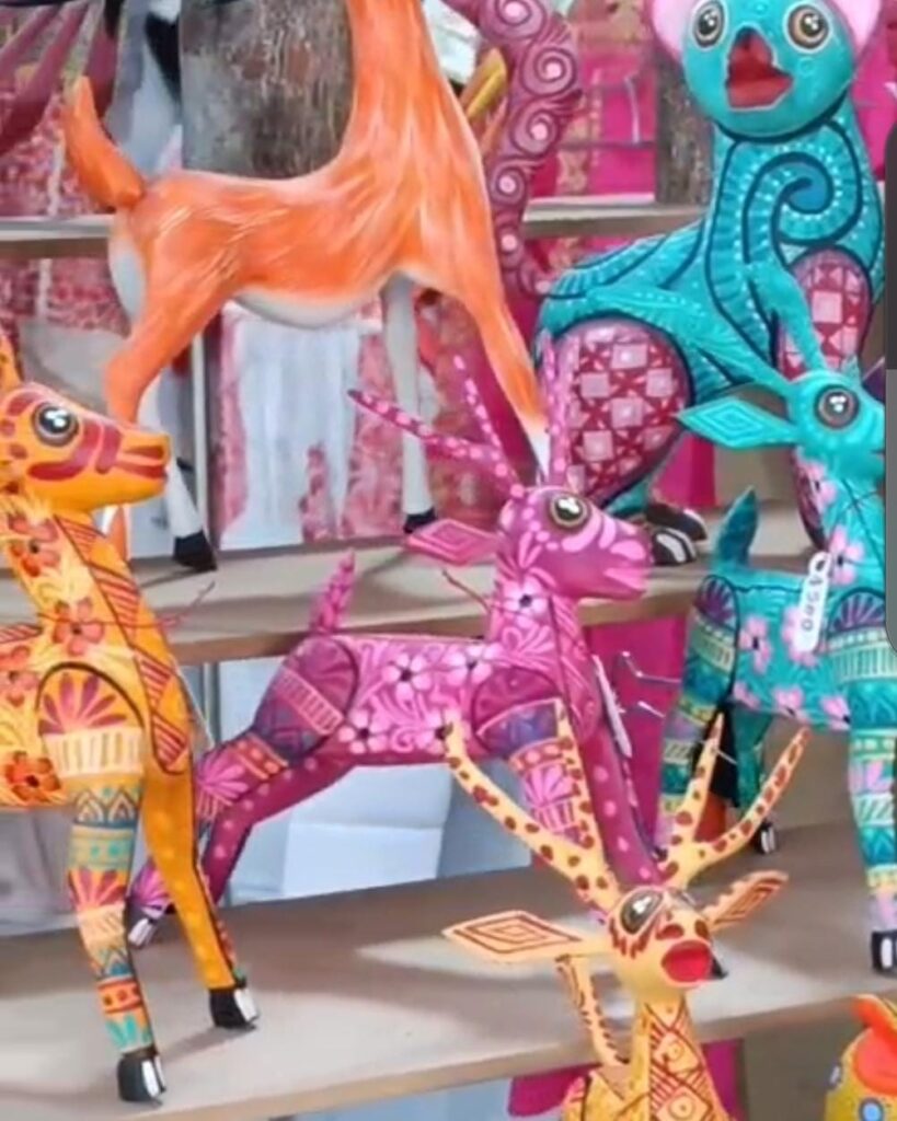 Llega al Jardín de El Carmen la esencia de Oaxaca