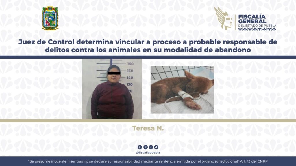 Abandonó a su perrita en la veterinaria