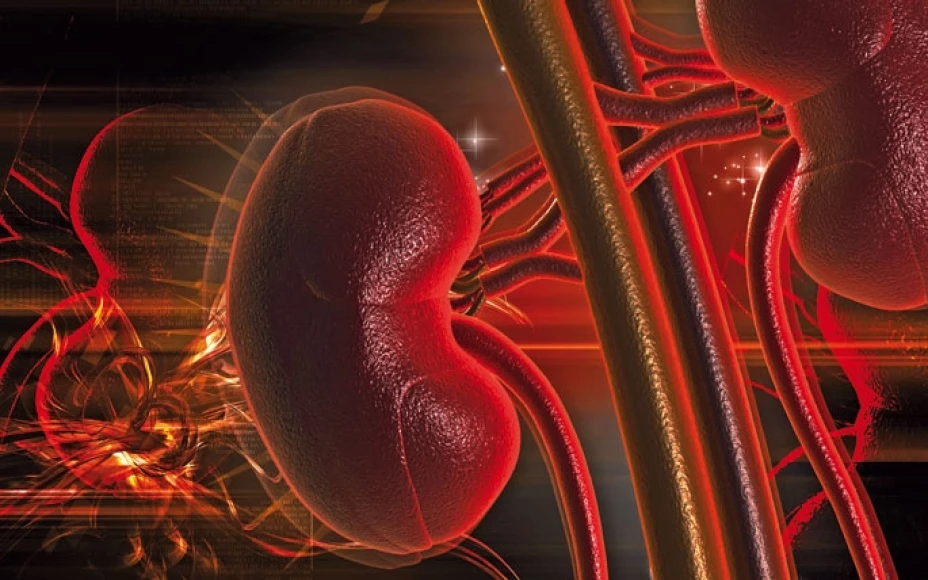 La diabetes y su impacto en la salud renal: una llamada a la acción