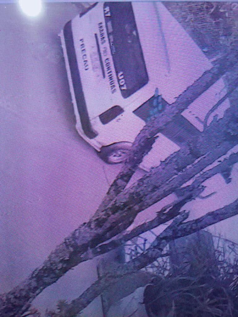 Tras atropellar a una perrita en Huauchinango, conductor del transporte público pidió “dormirla para que no sufra”