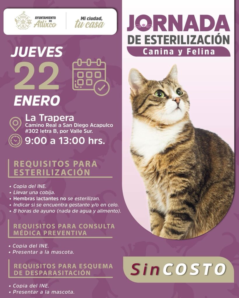 Anuncian jornada de servicios veterinarios gratuitos en Atlixco