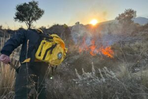 Avanza 60% liquidación de incendio forestal en Santa María Coatepec 