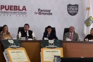 Video: No hubo paro de transportistas, solo no salieron los piratas, señaló Silvia Tanús