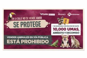 Fuertes multas por vender animales en vía pública, advierten