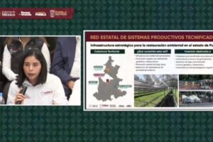 Construirán cuatro viveros forestales en la entidad