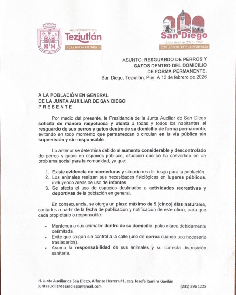Junta auxiliar de Teziutlán amaga con razzias contra perros y gatos en la calle