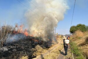 Realizan quema controlada de pastizal en junta auxiliar de Cuexpala