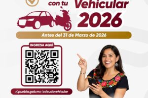 Cinco días para pagar el control vehicular