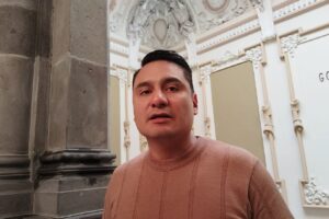 Mayoría de árboles en Puebla capital, enferma: Iván Herrera