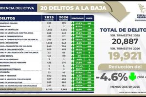 Bajan delitos y percepción de inseguridad en Puebla capital: INEGI