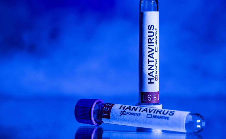 OMS eleva a 11 los casos positivos por hantavirus; “el trabajo no ha terminado”
