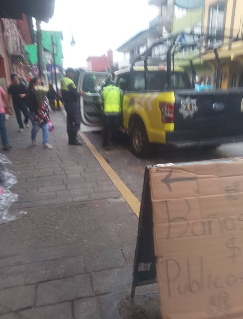 Desaparecen dos perros recogidos por agentes de Vialidad en Huauchinango, acusa ONG