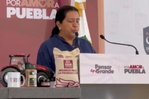 Industria cafetalera genera 3 mil 800 mdp para productores en Puebla